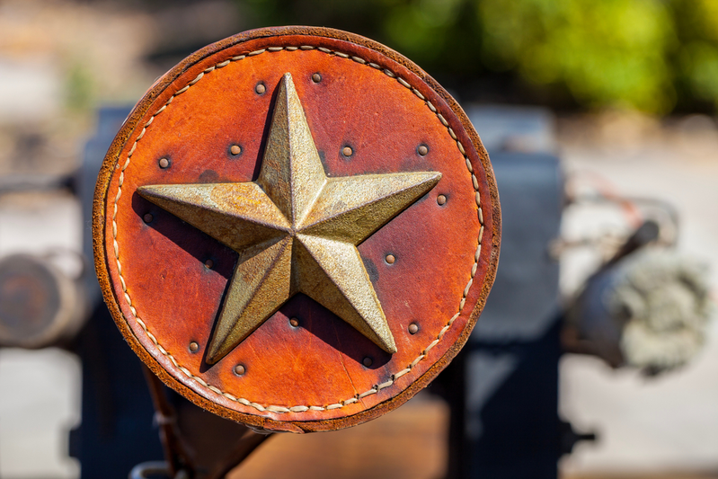 texas themed leather ornament
