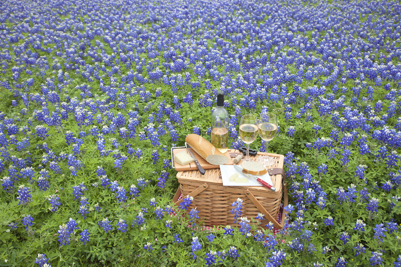 texas hill country picnic